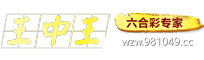 王中王